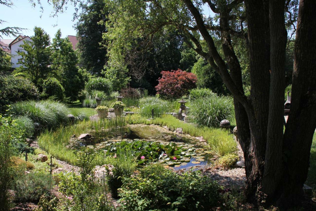 Fewo - Wohlfuehlambiente & Gartenparadies Modautal Exterior photo