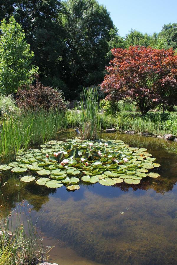 Fewo - Wohlfuehlambiente & Gartenparadies Modautal Exterior photo